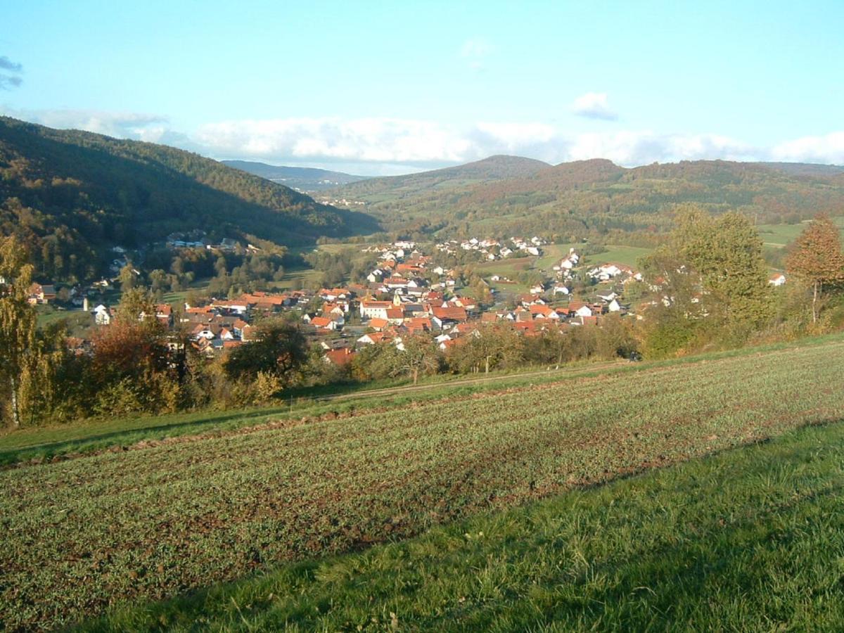 Ferienwohnung Hergenroeder Riedenberg  Luaran gambar