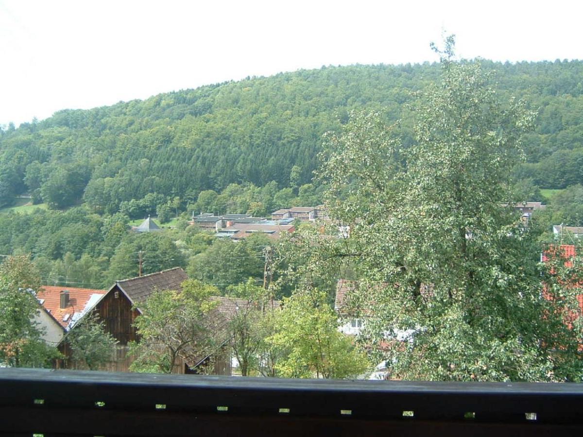 Ferienwohnung Hergenroeder Riedenberg  Luaran gambar